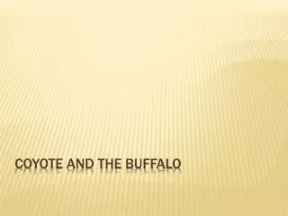 Coyote and the Buffalo