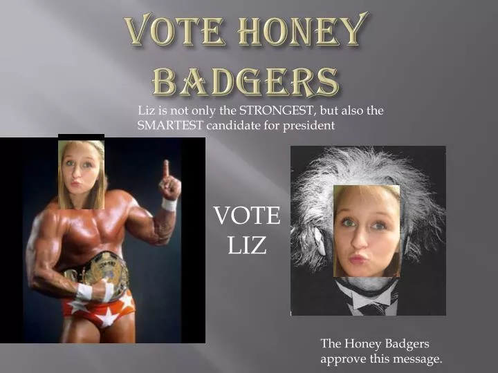 vote honey badgers