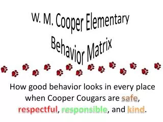 W. M. Cooper Elementary Behavior Matrix