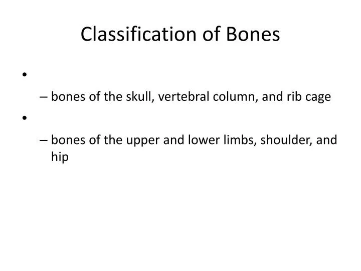 classification of bones