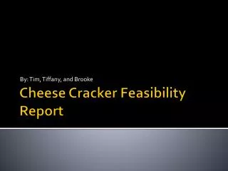 Cheese Cracker Feasibility Report