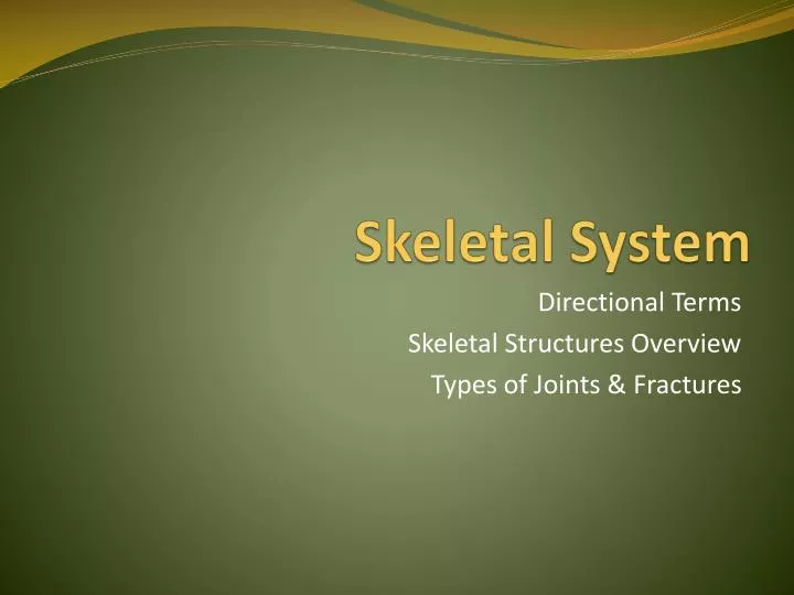 skeletal system