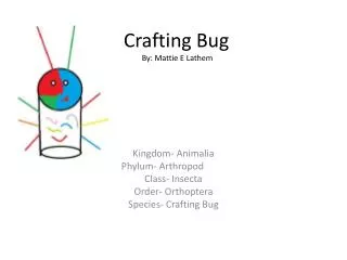 Crafting Bug By: Mattie E Lathem