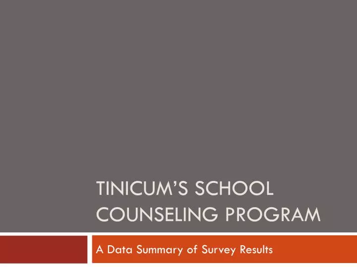 tinicum s school counseling program