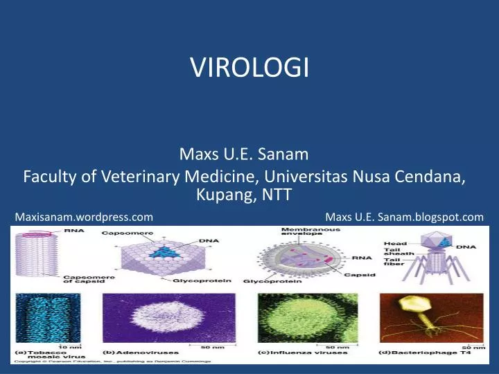 virologi