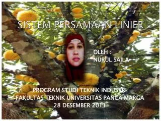 sistem persamaan linier