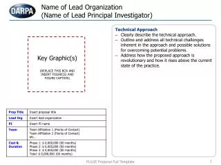 Name of Lead Organization (Name of Lead Principal Investigator)