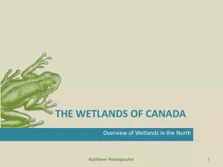 THE WETLANDS OF CANADA