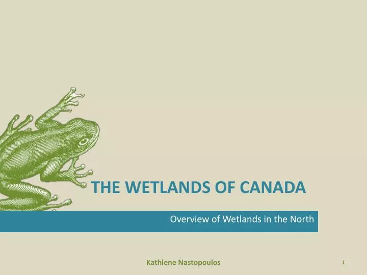 the wetlands of canada