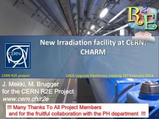New Irradiation facility at CERN: CHARM