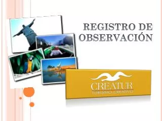 registro de observaci n