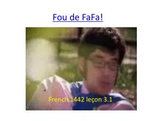 fou de fafa