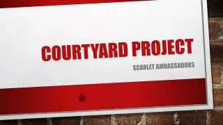 Courtyard Project