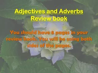 Adjectives and Adverbs Review book