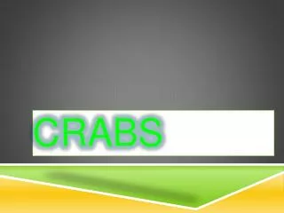 crabs