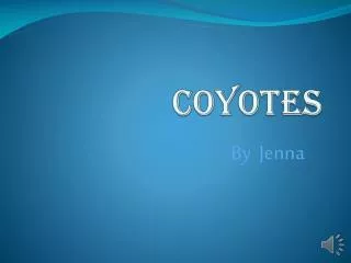 coyotes
