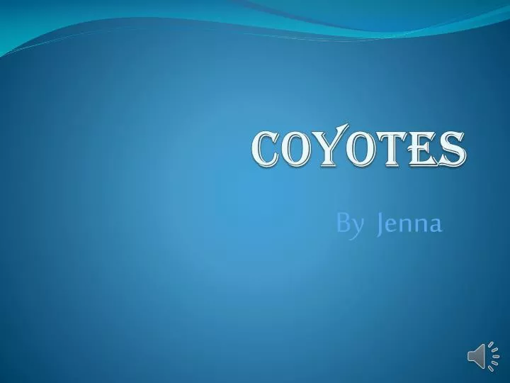 coyotes