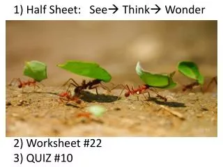 1) Half Sheet: See ? Think? Wonder 2) Worksheet #22 3) QUIZ #10
