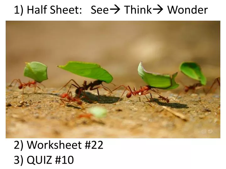 1 half sheet see think wonder 2 worksheet 22 3 quiz 10