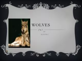 wolves