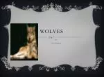 wolves - slide 1