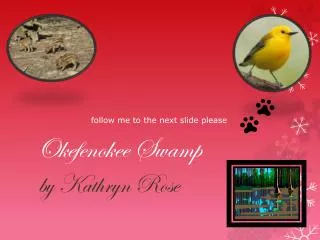 okefenokee swamp