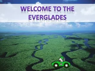 Welcome to the Everglades