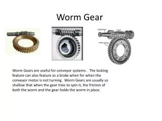 Worm Gear