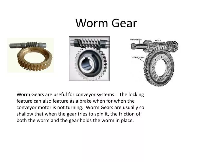 worm gear
