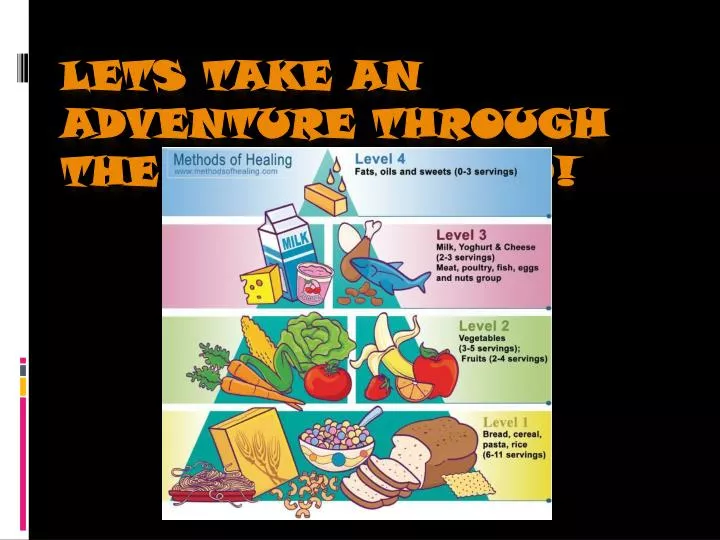 lets take an adventure through the food pyramid