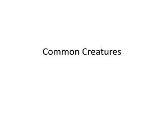 Common Creatures