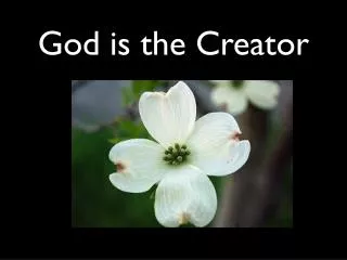 God is the Creator