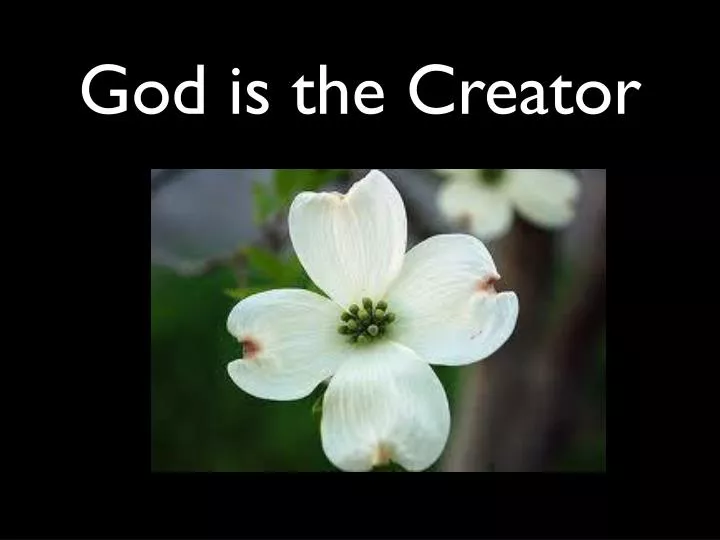 god is the creator