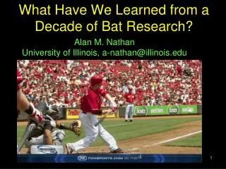 What Have We Learned from a Decade of Bat Research?