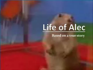 life of alec