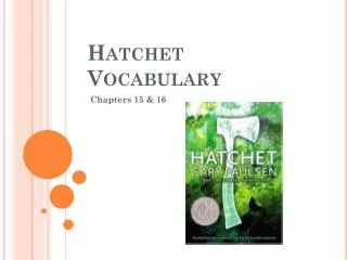 Hatchet Vocabulary