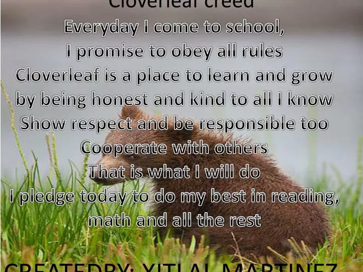 cloverleaf creed