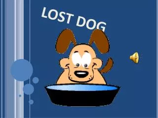 LOST DOG