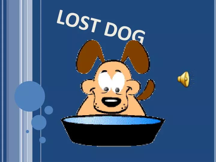 lost dog