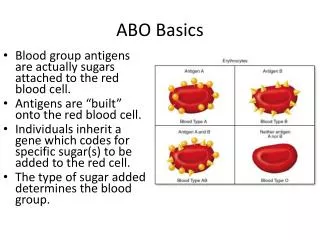 ABO Basics