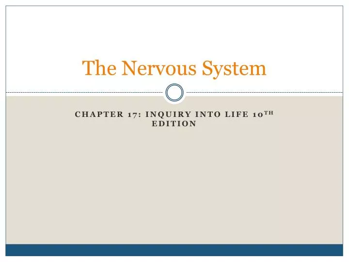 the nervous system