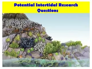 Potential Intertidal Research Questions