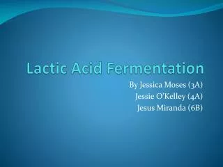 Lactic Acid Fermentation