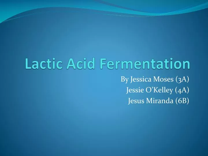 lactic acid fermentation