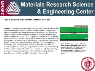 IRG II. Surfaces with dynamic chemical patterns