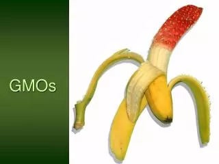 GMOs