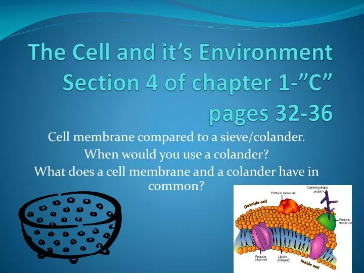 the cell and it s environment section 4 of chapter 1 c pages 32 36