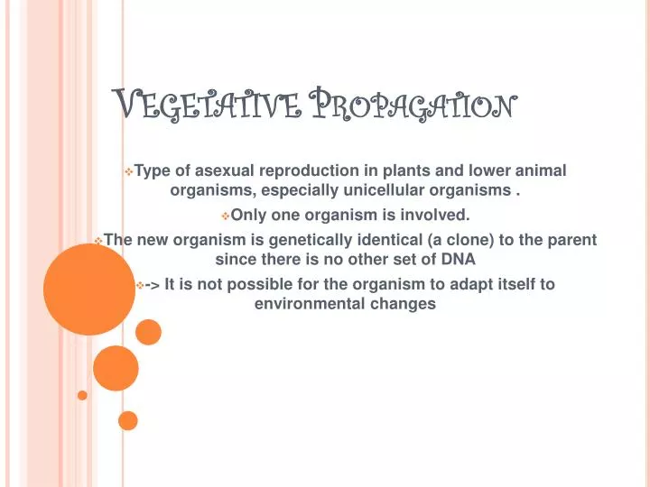 vegetative propagation