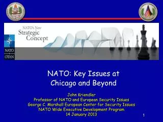 John Kriendler Professor of NATO and European Security Issues
