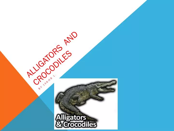 alligators and crocodiles
